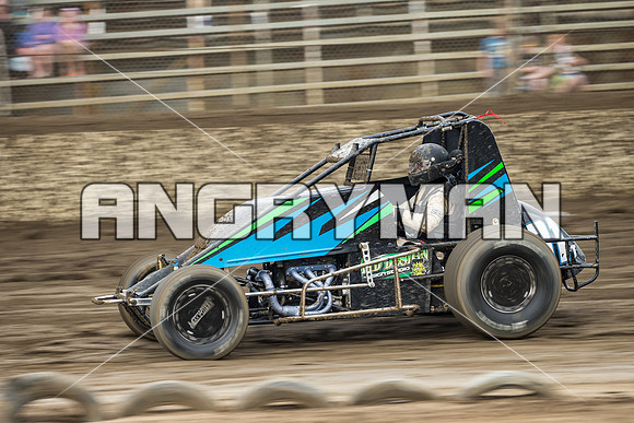 wingless 31 t31 peter griffiths - 20 - Hobart - 13th Feb 2016-3