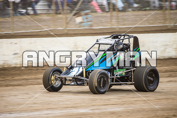 wingless 31 t31 Peter Griffin - 8 - Hobart - 12th Dec 2015-2
