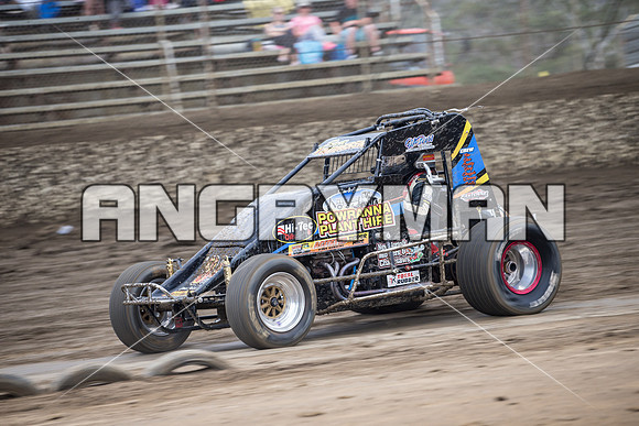 wingless 34 t34 - 20 - Hobart - 13th Feb 2016-3