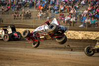 wingless 6 t6 - 20 - Hobart - 13th Feb 2016-8