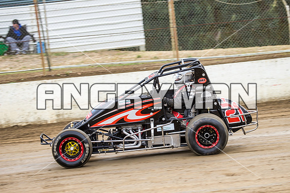 wingless 21 t21 joe turnbull - 8 - Hobart - 12th Dec 2015