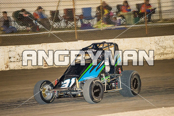 wingless 31 t31 Peter Griffin - 8 - Hobart - 12th Dec 2015-9