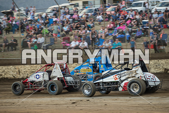 wingless 6 t6 - 20 - Hobart - 13th Feb 2016-12