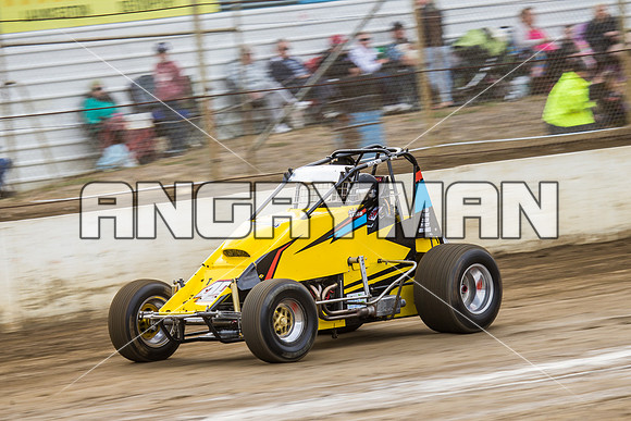 wingless 49 t49 Wade Lello - 8 - Hobart - 12th Dec 2015