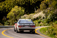 439 - SS06 - Cumberland