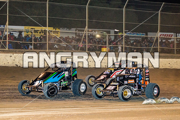 wingless 31 t31 Peter Griffin - 9 - Latrobe - 27th Dec 2015-3