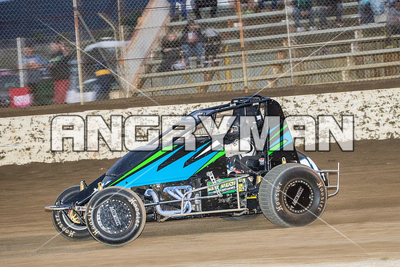 wingless 31 t31 Peter Griffin - 8 - Hobart - 12th Dec 2015-8