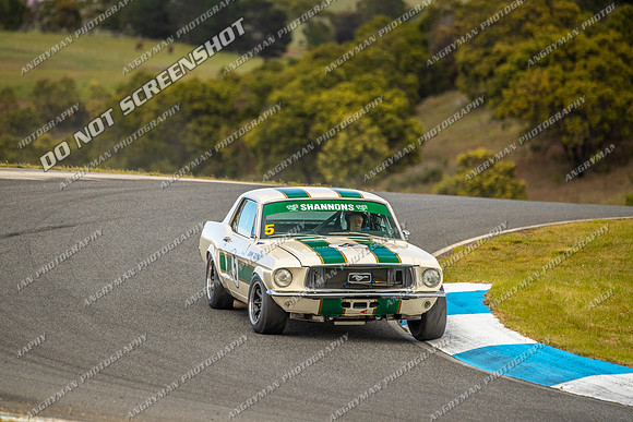 Group Nb & Nc Touring Cars - 5 - Baskerville Historics 2024-2