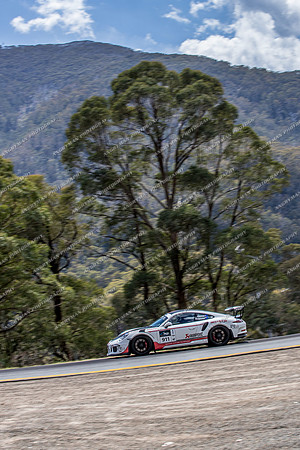 911 - TS07 - Mirimbah - JL-2