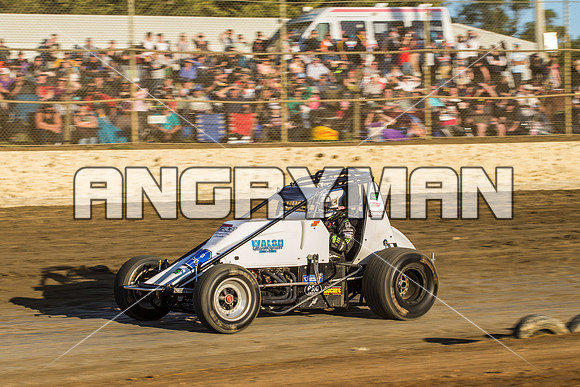 wingless 99 T99 - 9 - Latrobe - 27th Dec 2015-2