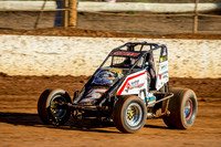 Wingless