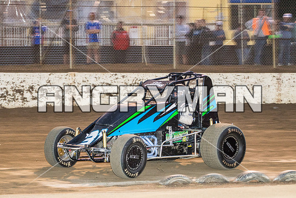 wingless 31 t31 Peter Griffin - 8 - Hobart - 12th Dec 2015-7
