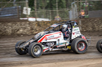 Wingless