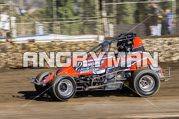 wingless 15 t15 brad herbert - 16 - Latrobe - 23rd Jan 2016 - Grand National-2