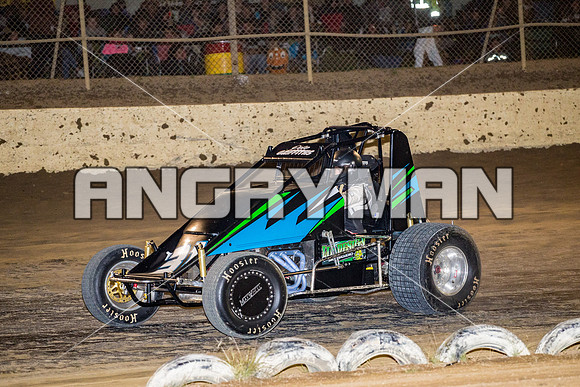 wingless 31 t31 Peter Griffin - 9 - Latrobe - 27th Dec 2015-4