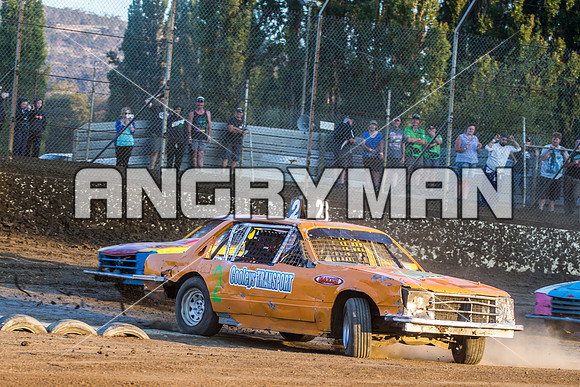 bomber 2 - 16 - Latrobe - 23rd Jan 2016 - Grand National-4
