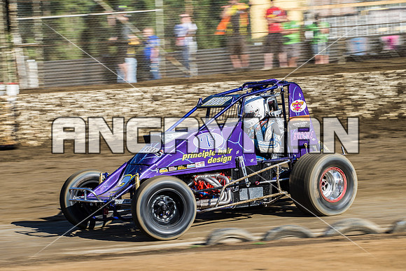 wingless 28 t28 tim herbert - 16 - Latrobe - 23rd Jan 2016 - Grand National-2