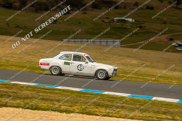 Muscle Car Cup - 49 - Baskerville Historics 2024-11