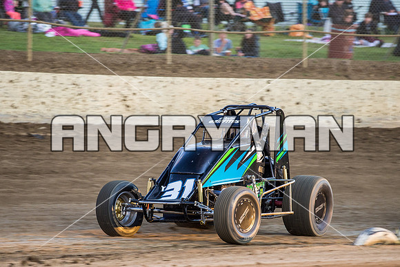 wingless 31 t31 peter griffiths - 5 - Latrobe - 14th Nov 2015-4