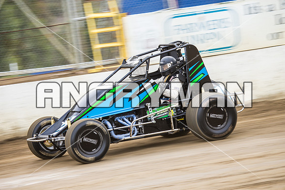 wingless 31 t31 Peter Griffin - 8 - Hobart - 12th Dec 2015