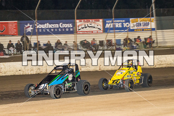 wingless 31 t31 Peter Griffin - 8 - Hobart - 12th Dec 2015-11