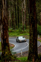124 - SS19 - Cumberland