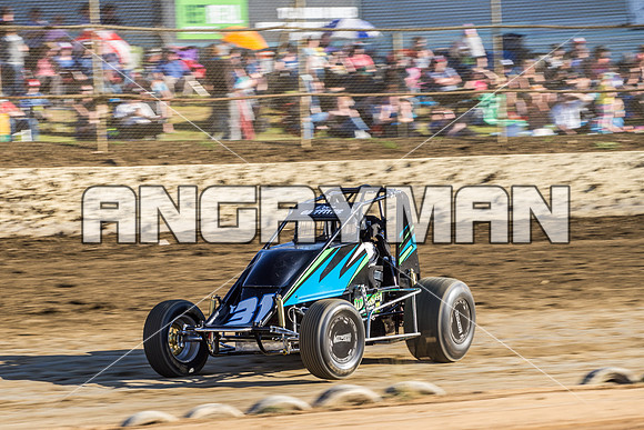wingless 31 t31 Peter Griffin - 9 - Latrobe - 27th Dec 2015-2