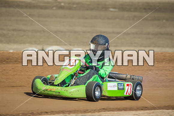 kart 73 - 5 - Latrobe - 14th Nov 2015-3