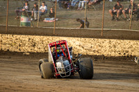 wingless 6 t6 - 20 - Hobart - 13th Feb 2016-9