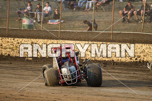 wingless 6 t6 - 20 - Hobart - 13th Feb 2016-9