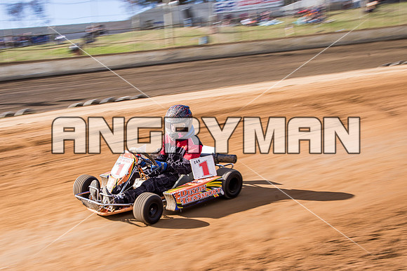 kart 29 - 5 - Latrobe - 14th Nov 2015-2
