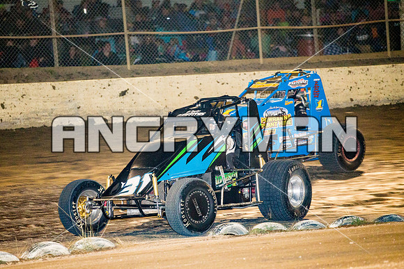 wingless 31 t31 Peter Griffin - 9 - Latrobe - 27th Dec 2015-6