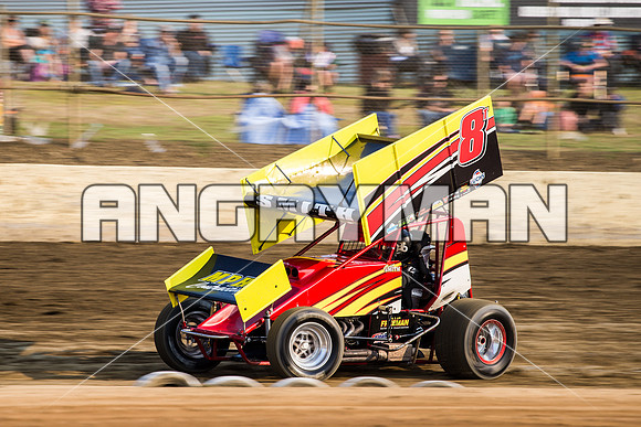 sprintcar 8 t8 Curt Smith - 15 - Latrobe - 16th Jan 2016-2
