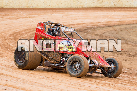 wingless 83 T83 - 6 - Carrick - 8th Nov 2014-6