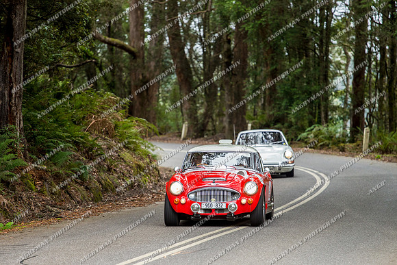 Historic Rally - 4 - Hellyer Gorge - JL-17