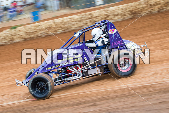 wingless 28 t28 tim herbert - 6 - Carrick - 8th Nov 2014-10