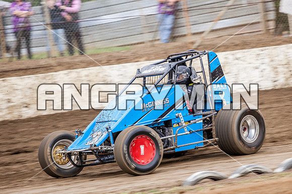 wingless 31 t31 peter griffiths - Alexs Photos-2