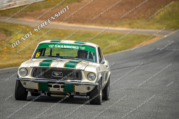 Group Nb & Nc Touring Cars - 5 - Baskerville Historics 2024-12