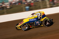 Wingless