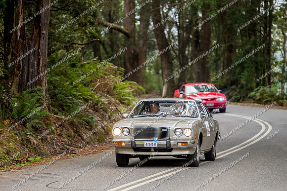 Historic Rally - 4 - Hellyer Gorge - JL-42