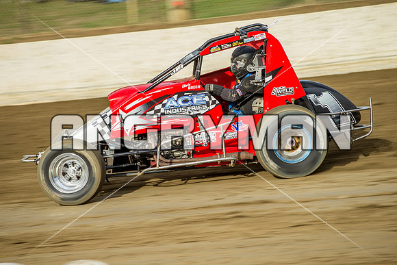 wingless 6 t6 - 9 - Latrobe - 6th December 2014