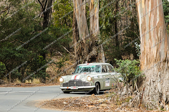 255 - 5 - Grasstree Hill - RM