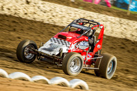 wingless 6 t6 - 9 - Latrobe - 6th December 2014-4