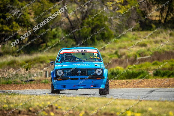 Muscle Car Cup - 9 - Baskerville Historics 2024-23