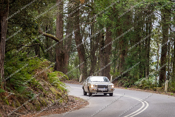 Historic Rally - 4 - Hellyer Gorge - JL-41