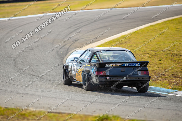 Muscle Car Cup - 74 - Baskerville Historics 2024-14