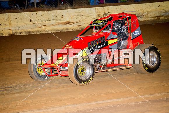 wingless 26 T26 - 12 - Carrick - 26th Dec 2014-16