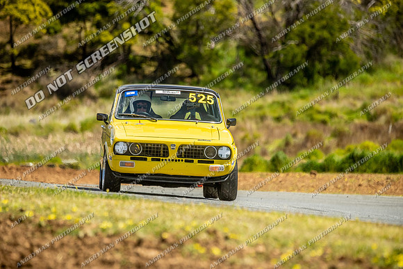 Regularity Sedans - 525 - Baskerville Historics 2024-14