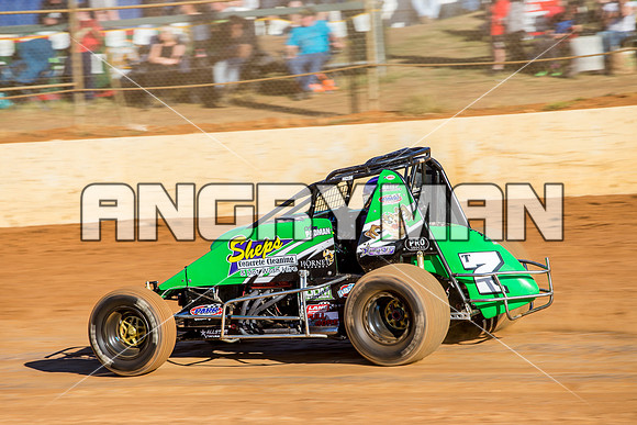 wingless 7 T7 - 12 - Carrick - 26th Dec 2014