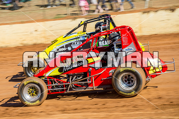 wingless 26 T26 - 12 - Carrick - 26th Dec 2014